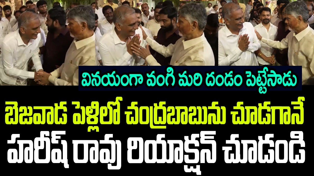 విజయవాడ పెళ్ళిలో చంద్రబాబును చూడగానే హరీష్ రావు రియాక్షన్ చూడండి I Harish Rao Meets CM Chandrababu