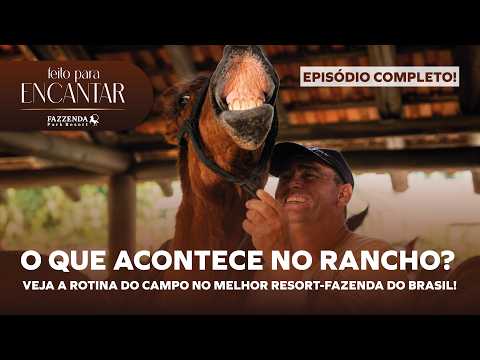 Um dia no rancho: a rotina do campo