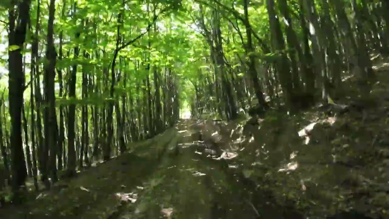 Time-lapse 1. MTB Börzsöny