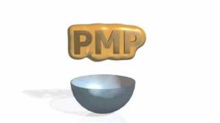 Particle Morph RealFlow
