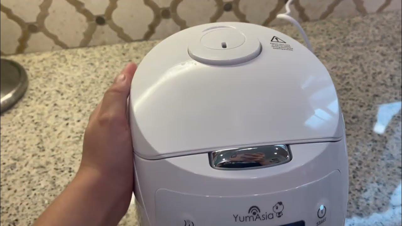 Yum Asia Panda Mini Rice Cooker With Ninja Ceramic Bowl and Advanced