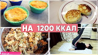 видео: Мое ПП МЕНЮ на 1200 ккал - ПП ВЛОГ + Как я ТРЕНИРУЮСЬ ДОМА картинка: Мое ПП МЕНЮ на 1200 ккал - ПП ВЛОГ + Как я ТРЕНИРУЮСЬ ДОМА