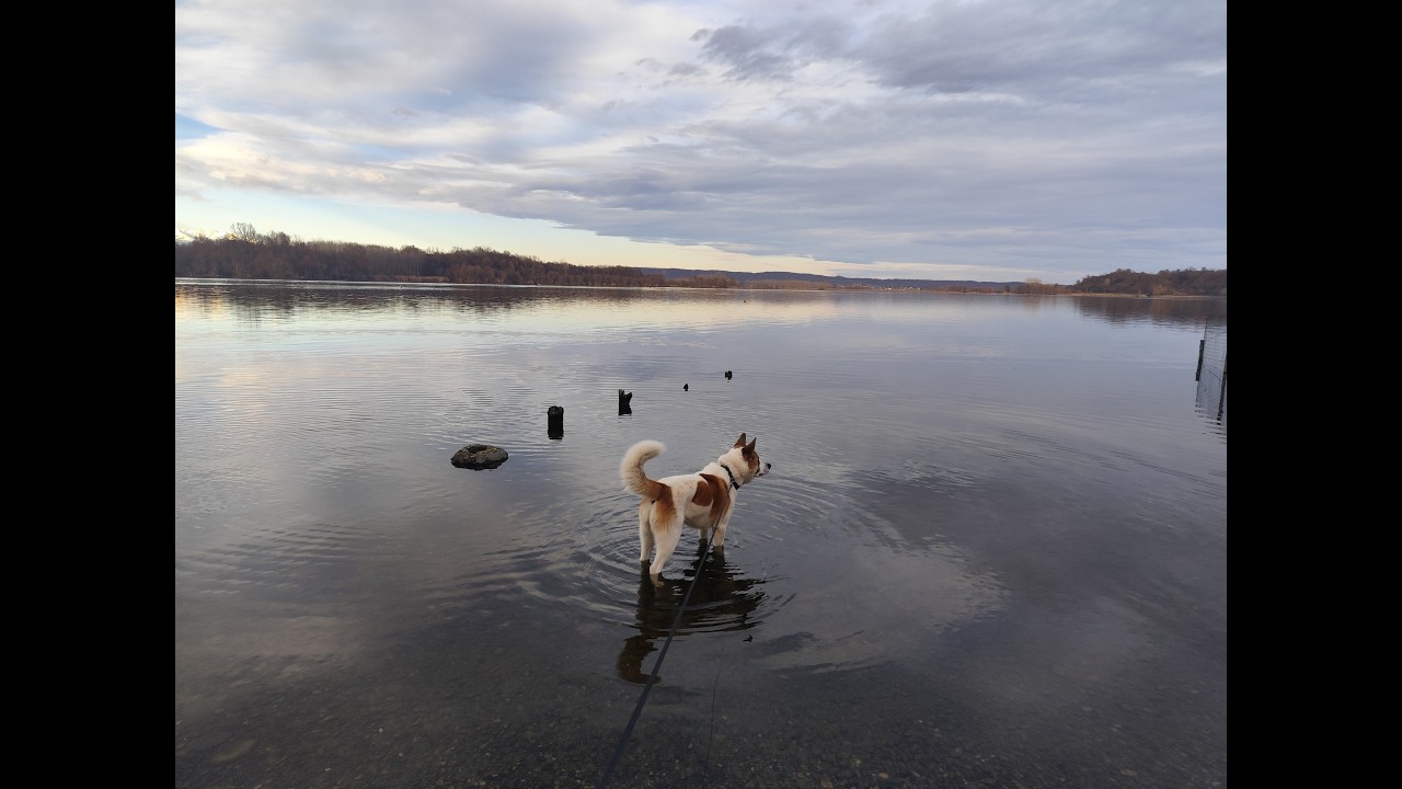 Escursione da Candia Canavese alla chiesa Santo Stefano del Monte e giro del lago 10_01_2026