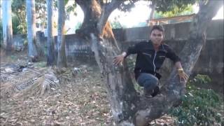 GANTENG - GANTENG DOMBA || Z4D OLD VIDEO