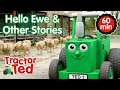 Hello ewe  other tractor ted stories   tractor ted compilation  tractor ted official