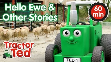 Hello Ewe & Other Tractor Ted Stories 🚜 | Tractor Ted Compilation | Tractor Ted Official
