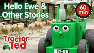 Hello Ewe & Other Tractor Ted Stories 🚜 | Tractor Ted Compilation | Tractor Ted Official