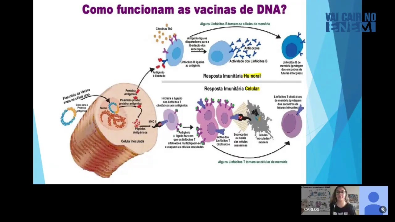 AO VIVO l Como DNA e vacinas podem aparecer na sua prova de biologia do Enem.