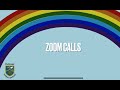 Zoom calls