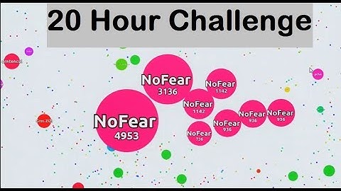 Agar.io - 20 Hours in FFA - NoFear