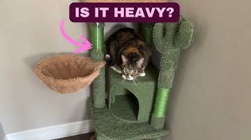Topeakmart 42″ H Cactus Cat Tree, Cute Cat Tower w/Scratching Posts, Indoor Cat Furniture Review