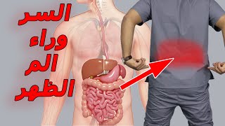 الم اسفل الظهر/السر وراء الم اسفل الظهر وعلاجة/الم ظهرك مش بسبب ظهرك!!