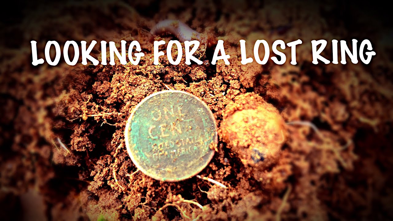 Metal Detecting / Looking for a lost wedding ring with my Equinox 600