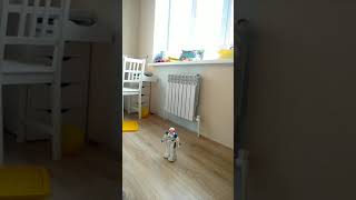 Танец Робота #Dancingrobot #Robotdance #Робот