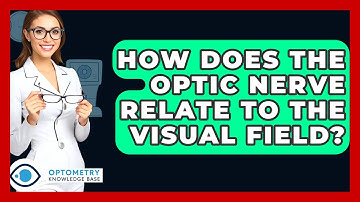 How Does The Optic Nerve Relate To The Visual Field? - Optometry Knowledge Base