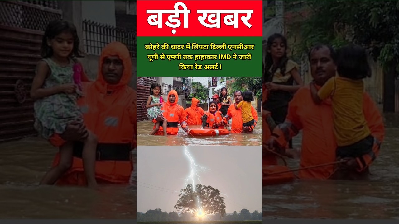 कोहरे की चादर में लिपटा दिल्ली-एनसीआर, यूपी से एमपी तक हाहाकार, IMD ने जारी किया रेड अलर्ट !