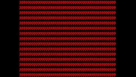 The Section - Bridget Riley Complex