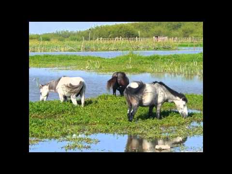 Amharic Music New 2013 ስለሺ ደምሴጋሽ አበራ ሞላ ያምራል አገሬ