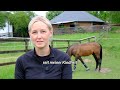 Im Stall bei Richard Vogel: So erlebte er den Sieg in Aachen 🥹 Warum Groom Felicia so wichtig wurde💚