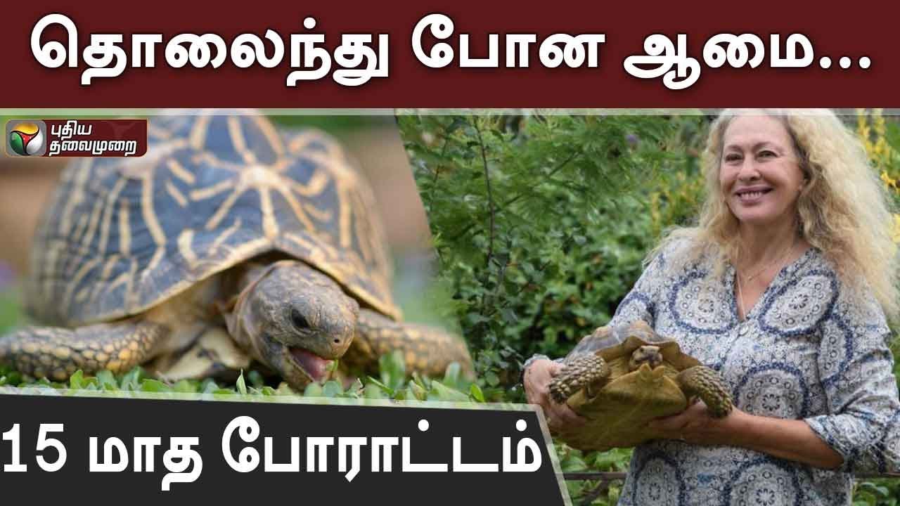 live tamil news 7 tv channels தொலைந்து போன ஆமை... 15 மாத போராட்டம்... Sybil tortoise | Tortoise Missing | England | #PTDigital