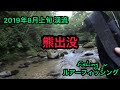 熊出没！　2019年8月上旬渓流ルアー　Lure fishing