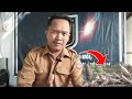 Memahami Istilah Perkutut Mandiri ( Perkutut Makan Sendiri )