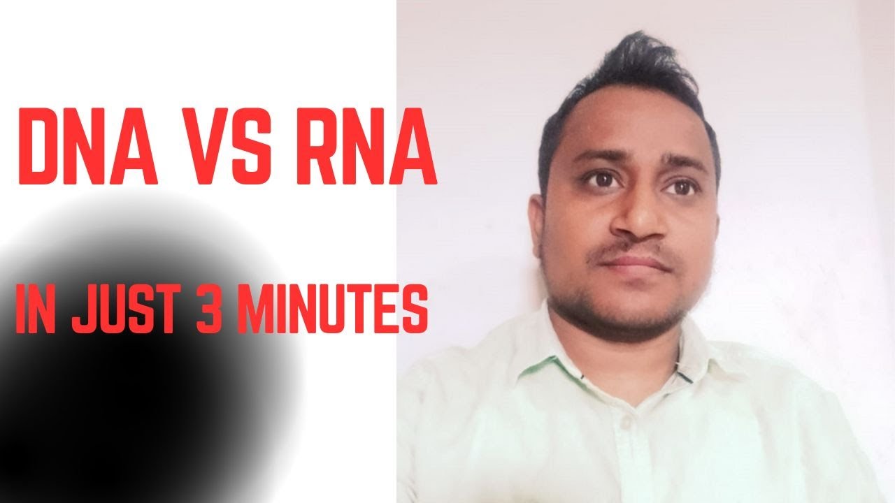 DNA VS RNA BIOLOGY TOPICS YouTube