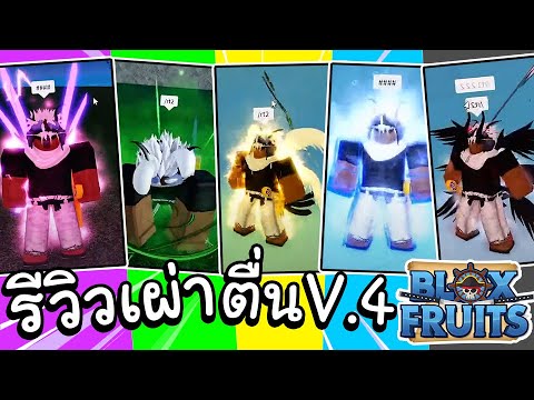 Blox Fruits รีวิว+ข้อมูลเผ่าตื่น V.4 ที่เเอดมินบอกไม่ครบ!!🤣