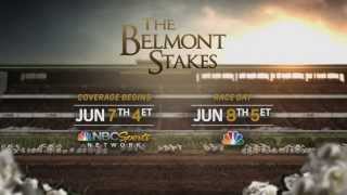 2013 Belmont Stakes