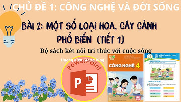 Công nghệ 4 Bài 2: Một số loại hoa, cây cảnh phổ biến (tiết 1) | KNTTVCS | Hương Kiên Giang Vlog
