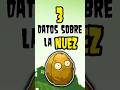 3 DATOS SOBRE LA NUEZ CASCARRABIAS #pvz #plantsvszombies #foryou #fyp #parati #datoscuriosos #mvpvz
