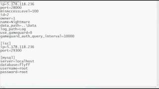 Problems on Flyff Private Server