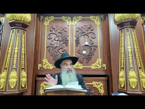 שולחן ערוך או"ח סימן יא' - טו' - הלכות ציצית | הרב מאיר דוד שמואלי