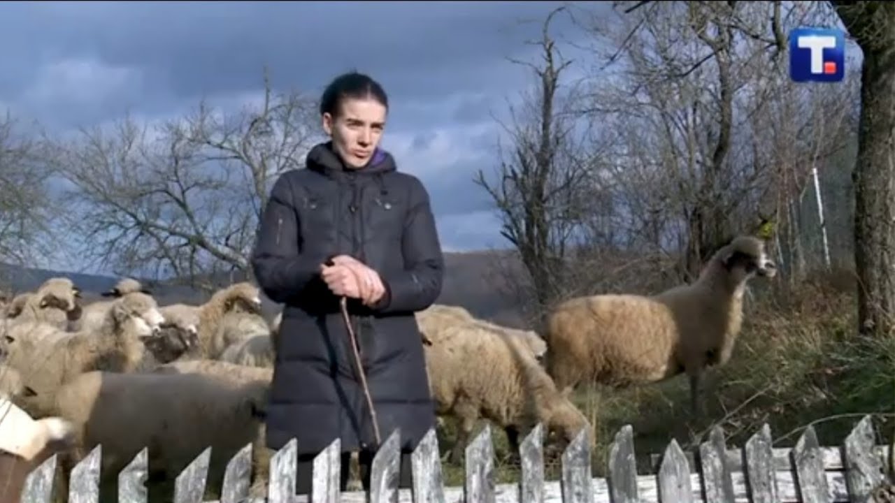 DEO NAS - Svrljiško jagnje, specijalitet istočne Srbije