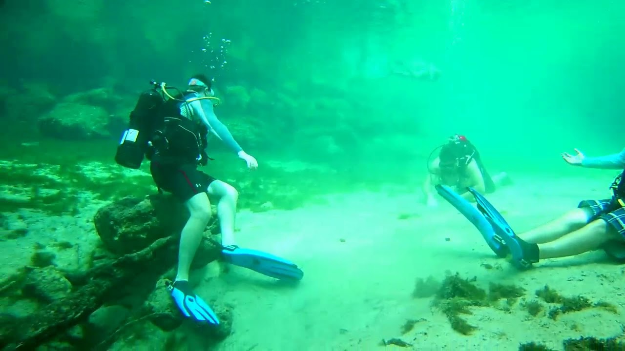 Kings Bay, King Spring and Three Sisters springs in Crystal River, FL YouTube