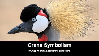 Crane Symbolism screenshot 1