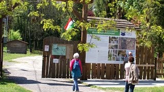 Tatai Fényes Tanösvény - Bacsó Ferenc fotói 2017