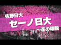 佐野日大 セーノ日大~花の精鋭 応援歌 2026春 第98回 センバツ高校野球