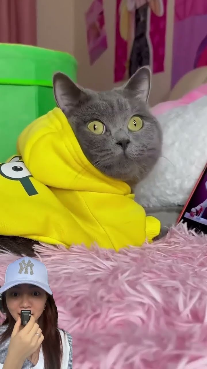 PURA PURA TIDUR TERNYATA SI MPUS LIHAT CEWEK CANTIK ⁉️#shorts #funny #dubbing