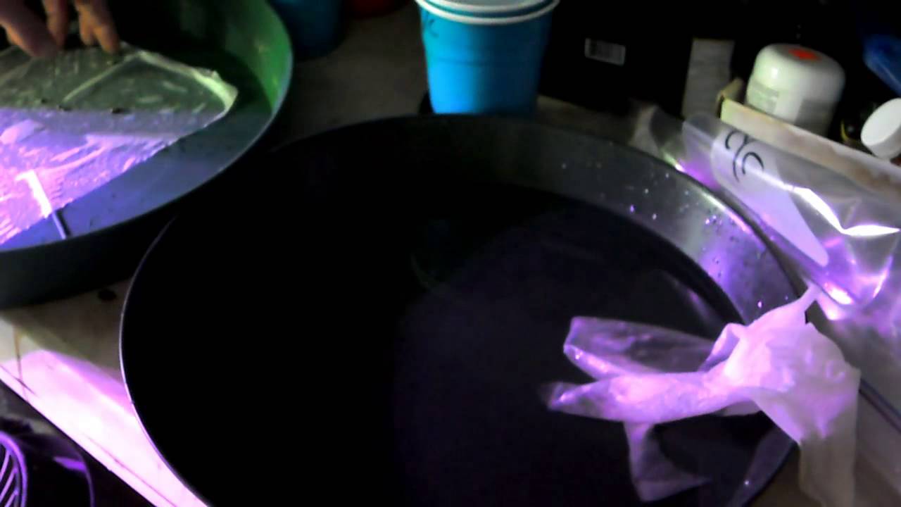 Crop King Seeds Start To Finish 1