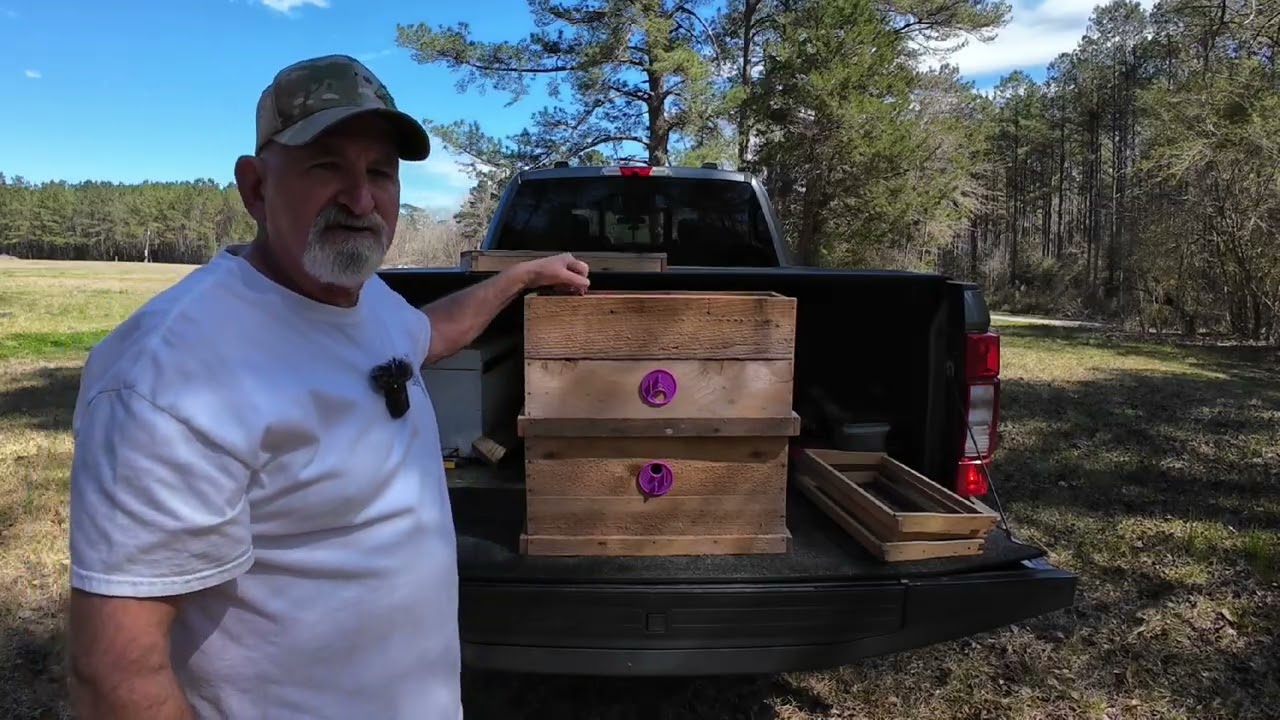 Установка ловушки для роев Филиппа Морзе