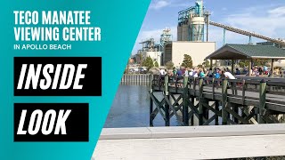 INSIDE LOOK | TECO Manatee Viewing Center in Apollo Beach