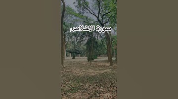 سورة الإخلاص📖تعدل ثلث القرآن#اكسبلور #المصحف #peace #المصحف_المرتل