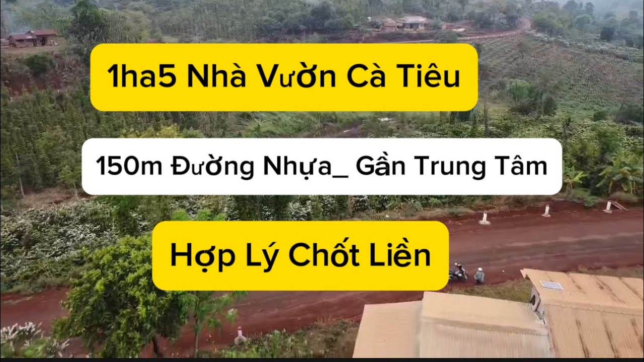 1ha5 nhà vườn tiêu cà ôm đường nhựa giá rẻ lh 0979601651 #bdsdaknong #muabandatgiare #datvuongiare 