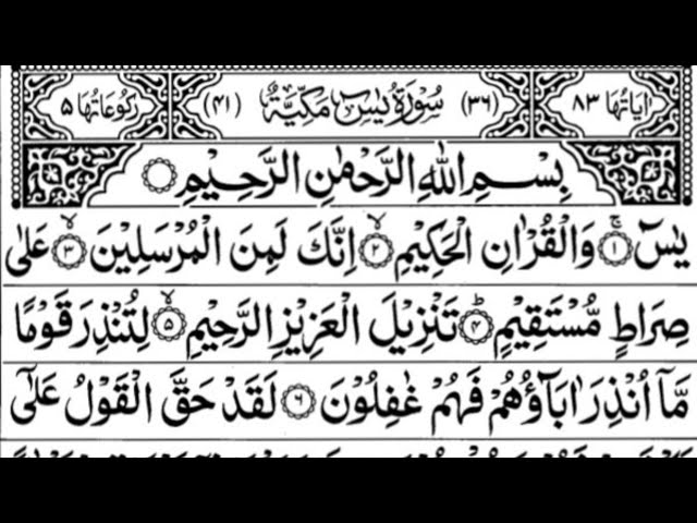 Surah Yasin (Yaseen🌹🕋)| Episode 244| Daily Quran Tilawat| Full With Arabic Text (HD)36سورۃ یس rahman