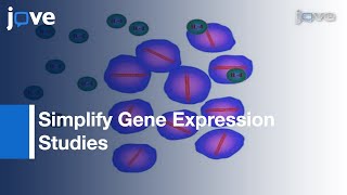 Automated Cell Counter: siRNA Knockdown: IL-4 Dependent Gene Expression- Cells l Protocol Preview