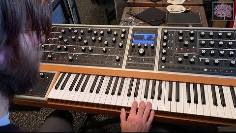 Multimoog Jam with Moog One, Grandmother, Voyager, Mother 32, DFAM