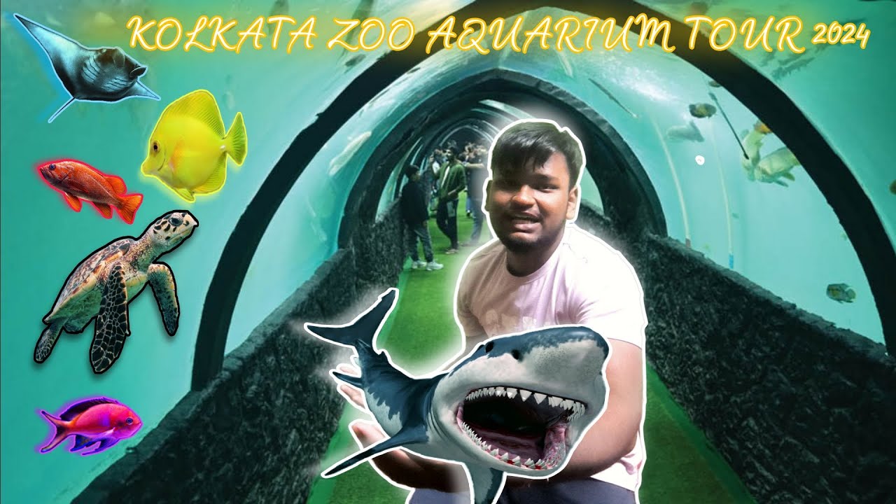 kolkata-alipore-zoo-aquarium-2024-kolkata-aquarium-latest-updates