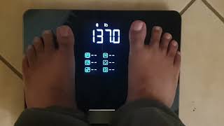 Renpho Elis 2X Trying out a smart weighing/ body composition scale for the first time 17.3% body fat