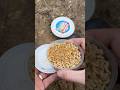 Maden mit Koriander Dip pimpen 🔥So bereite ich meine Haken & Futterkörbe vor